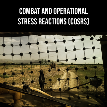 Combat and Operational Stressors (COSRs) for Military/Veterans